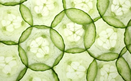 cucumber-veggie-of-the-week-ftr